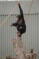 Kids_DFWzoo_3-2016 (209)